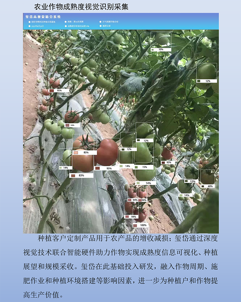 1722241952603181.png