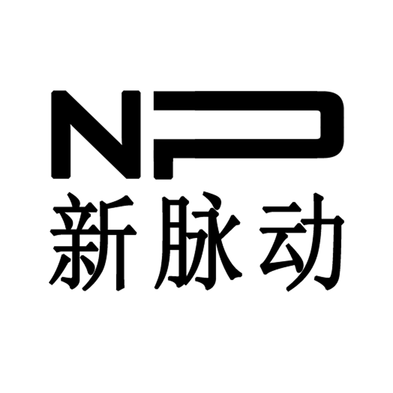 NP游标卡尺logo中文-新.jpg